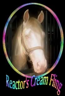 click here..Reactor's Cream Fling, Cremello stallion