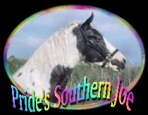 click here.. Pride's Southern Joe
