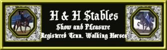 H and H Stables