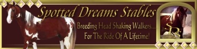 Spotted Dreams Stables