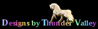 Equine Websites and Graphic services by Thunder Valley Walkers