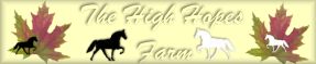 High Hopes Farm